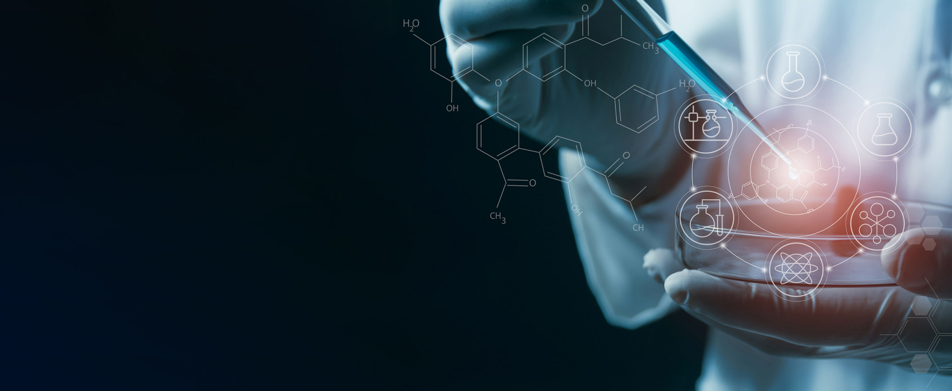 Offering specialised training sessions and workshops to enhance technical skills