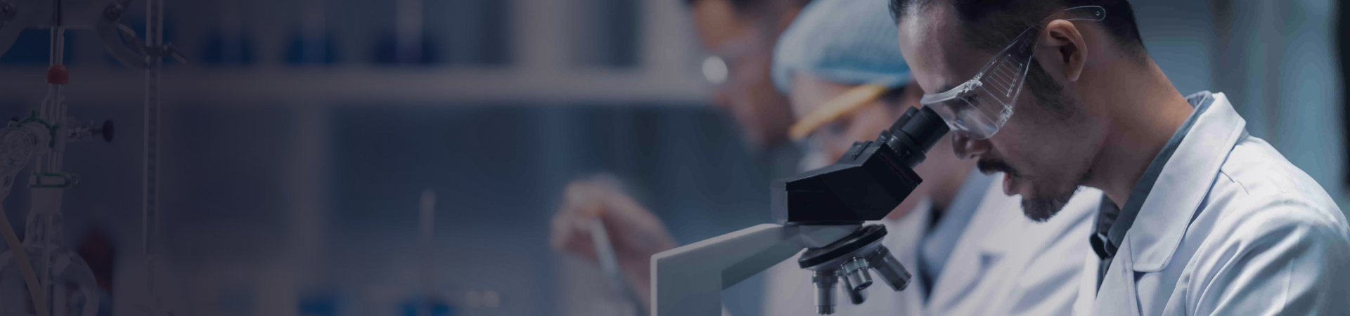 supporting companies in the Life Sciences Sector in attracting,